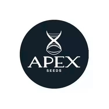 Produits Apex Seeds
